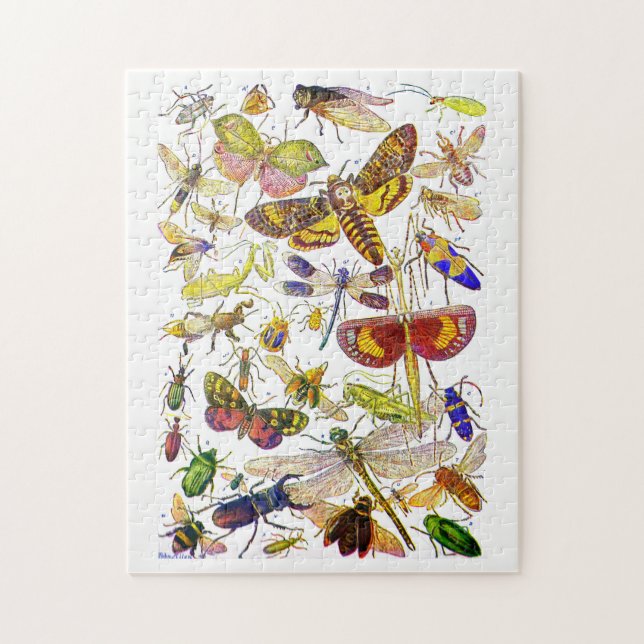 Insects Jigsaw Puzzle | Creepy Crawlies (Vertical)