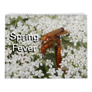 Insects Macros 2024 Kalender Calendar