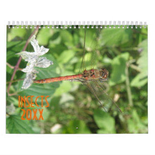 Insects Personalised Calendar
