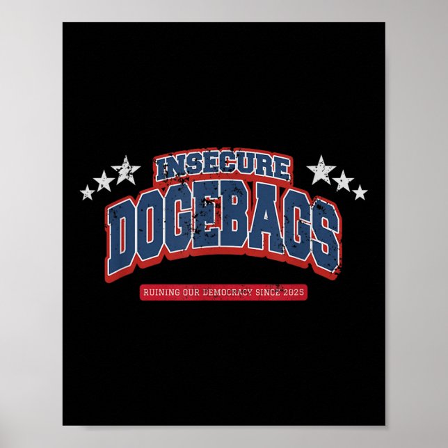 Insecure Dogebags Ruining Our Democracy Anti Doge Poster (Front)