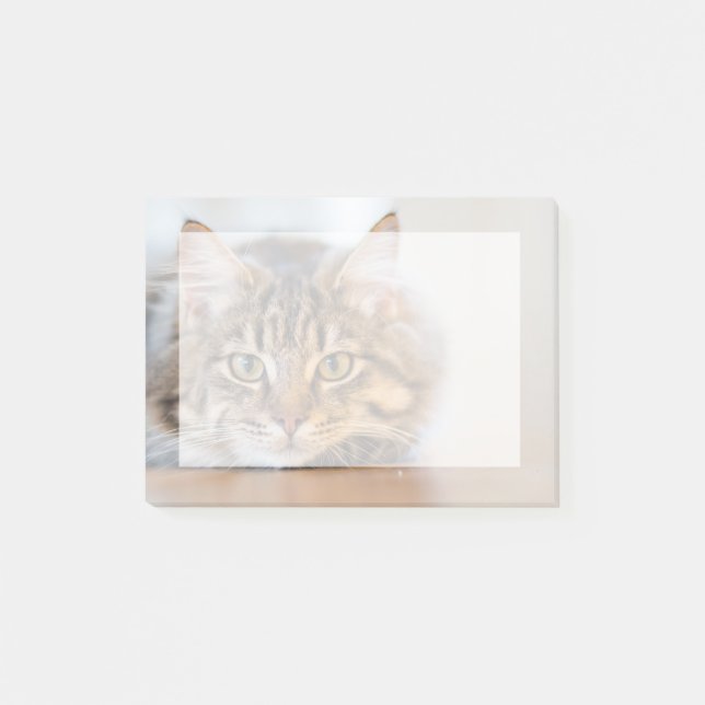 Insert your own pet photo post-it notes (Front)