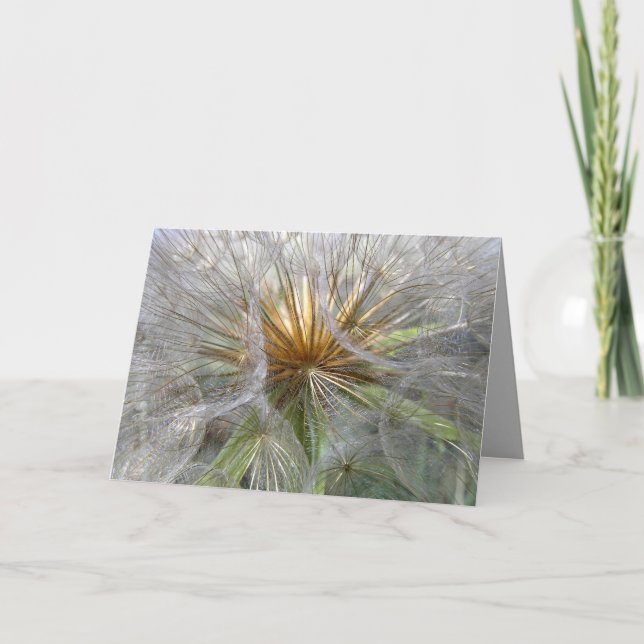 Inside A Dandelion Clock Close-Up Photograph Thank You Card (Front)