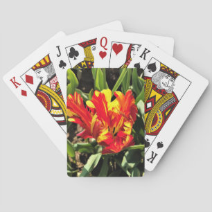 Inside a Flaming Parrot Tulip Playing Cards
