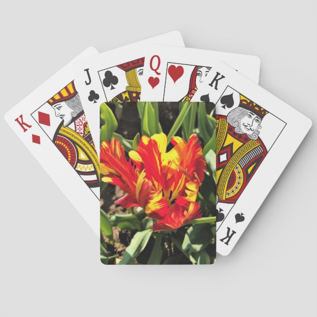 Inside a Flaming Parrot Tulip Playing Cards (Back)