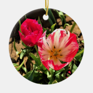 Inside a Pink & White Tulip Ceramic Ornament