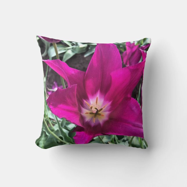 Inside a Purple Dream Tulip Cushion (Front)