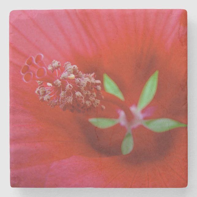 Inside A Red Hibiscus - Macro Photography Stone Coaster (Front)