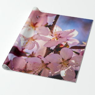 Inside A Sakura Tree Wrapping Paper