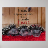 Inside a spiky exterior there is a tender heart