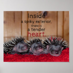 Inside a spiky exterior there is a tender heart poster