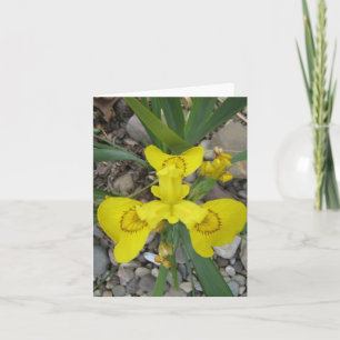 Inside Iris Small Blank Note Card