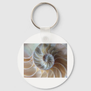 Inside Nautilus Key Ring