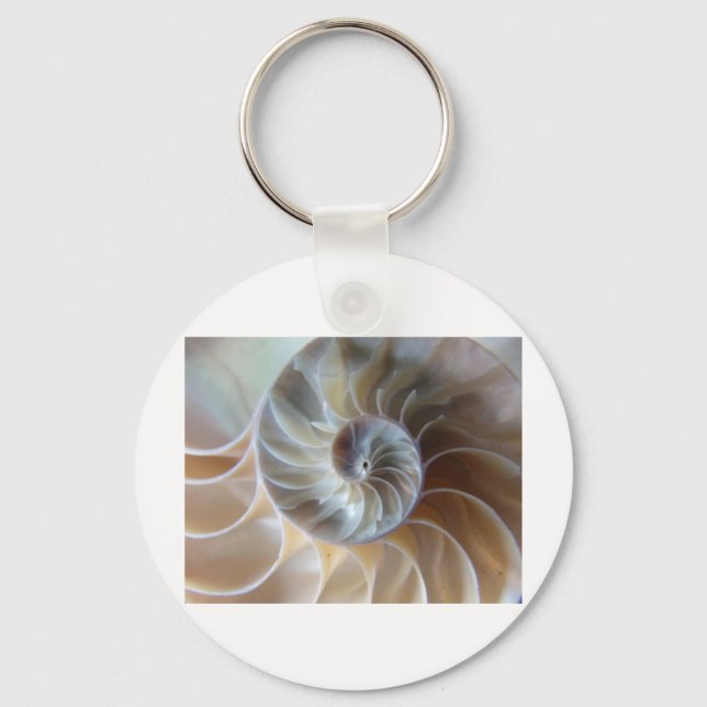 Inside Nautilus Key Ring (Front)