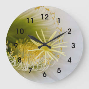 Inside of a white cactus in bloom large clock