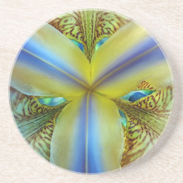 Inside of Iris Coaster (Front)