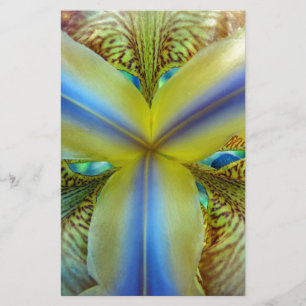 Inside of Iris Stationery