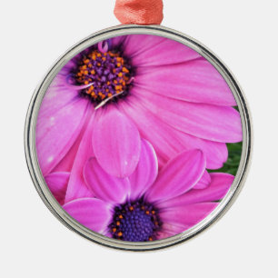 Inside of Pink Purple Gerbera Daisy Flower Nature Metal Tree Decoration