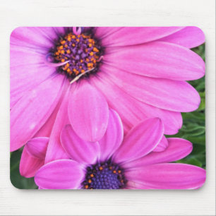 Inside of Pink Purple Gerbera Daisy Flower Nature Mouse Pad