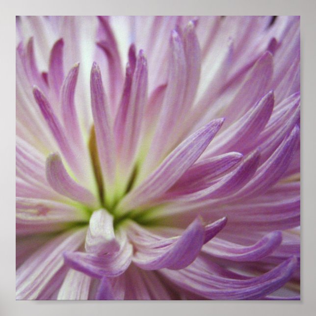 Inside Poster (Front)