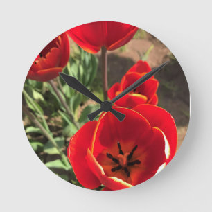 Inside Red Tulips Round Clock
