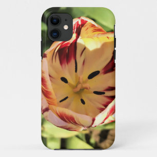 Inside Red & White Tulip iPhone 11 Case