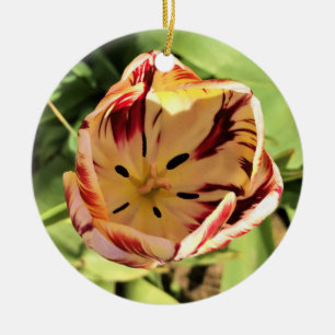Inside Red & White Tulip Ceramic Ornament