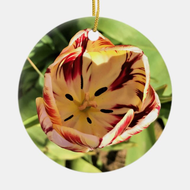 Inside Red & White Tulip Ceramic Ornament (Front)