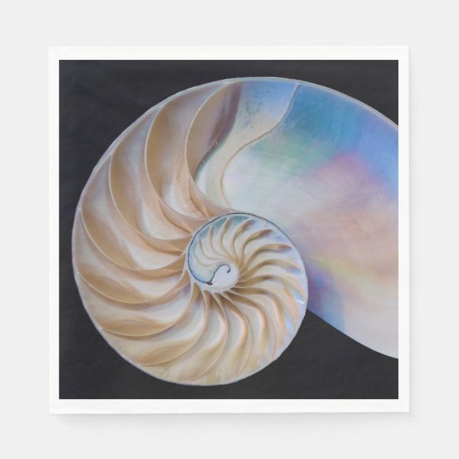 Inside The Nautilus Napkin (Front)