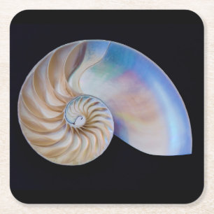 Inside The Nautilus Square Paper Coaster