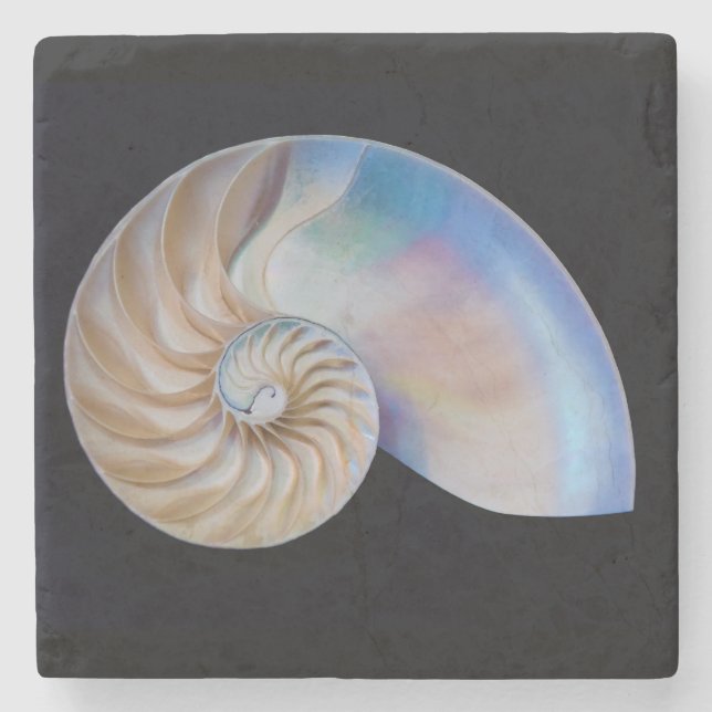 Inside The Nautilus Stone Coaster (Front)