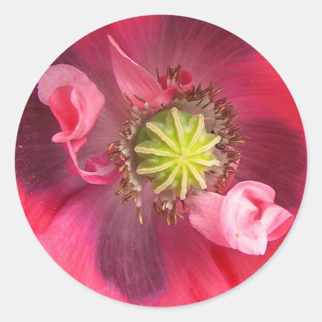 Inside the Poppy Classic Round Sticker (Front)