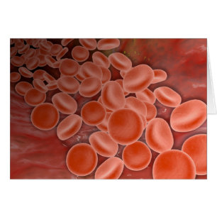Inside View Of The Artery With Red Blood Cells