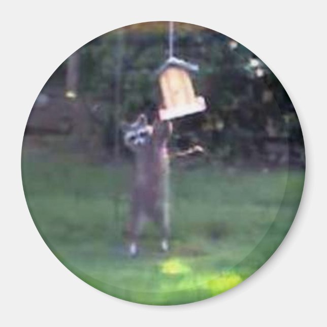 Inspector Racoon Magnet (Front)