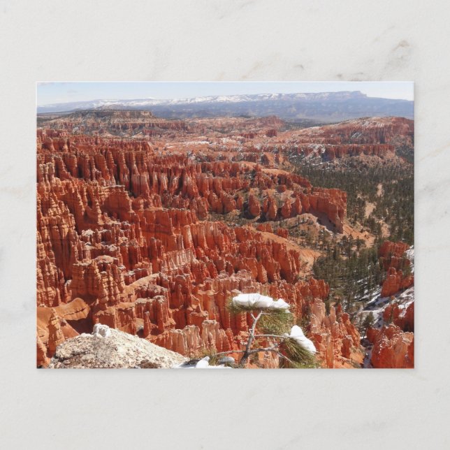 Inspiration Point at Bryce Canyon I Postcard (Front)