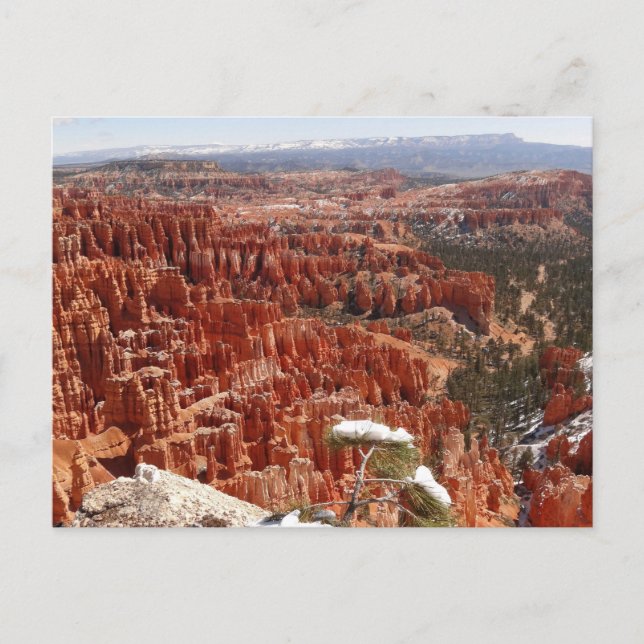 Inspiration Point at Bryce Canyon I Postcard (Front)