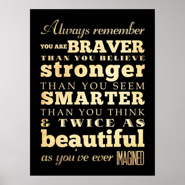 Inspirational Art -Dr Quote Poster (Front)