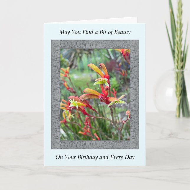 Inspirational Birthday Card with Kangaroo Paws (Front)