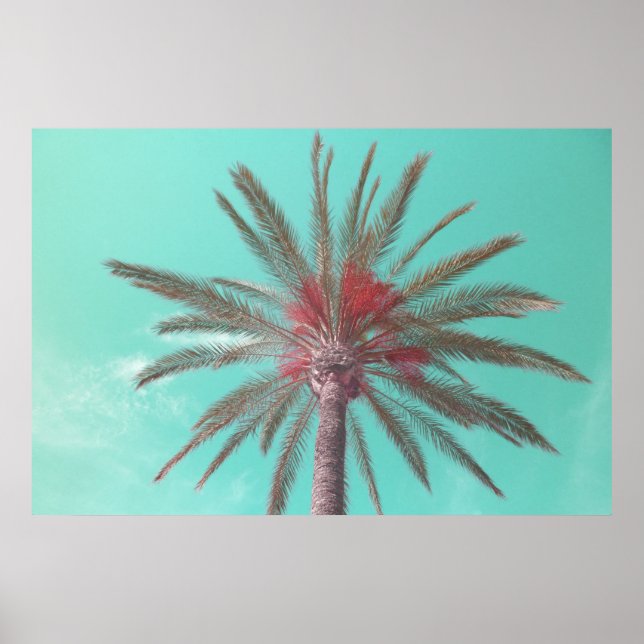 Inspirational Blue Sky Palm Tree Photo Poster (Front)