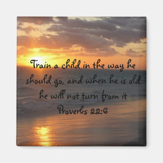 Inspirational Christian SUNSET Scripture Art Quote Magnet