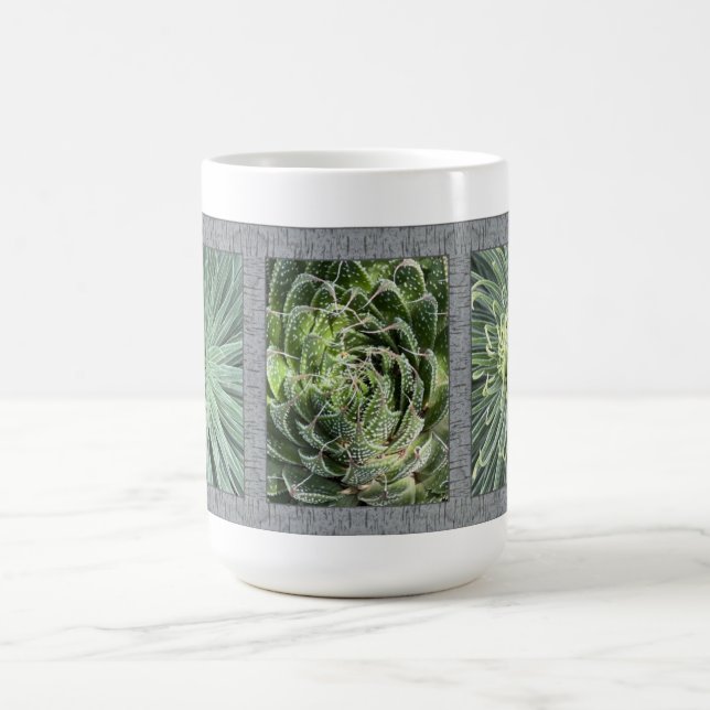 Inspirational Coffee Mug with Aloe Plants (Center)