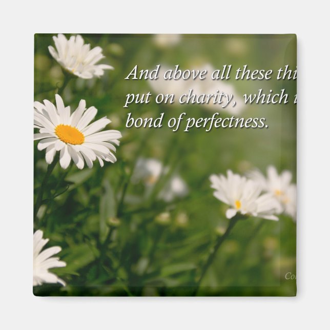 Inspirational - Daisy - Colossians 3-14 Magnet (Front)