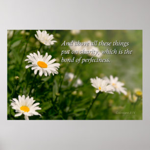 Inspirational - Daisy - Colossians 3-14 Poster