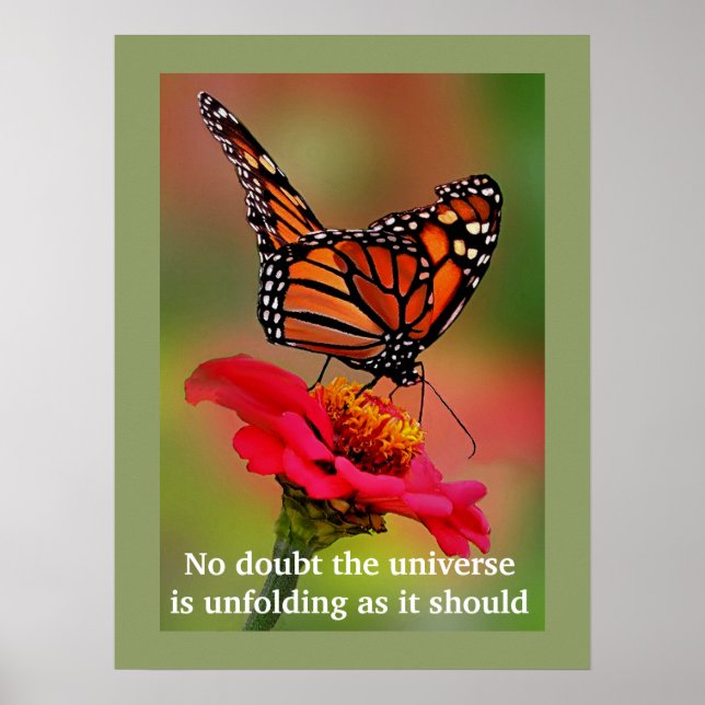 Inspirational Desiderata Quote with Butterfly Poster (Front)