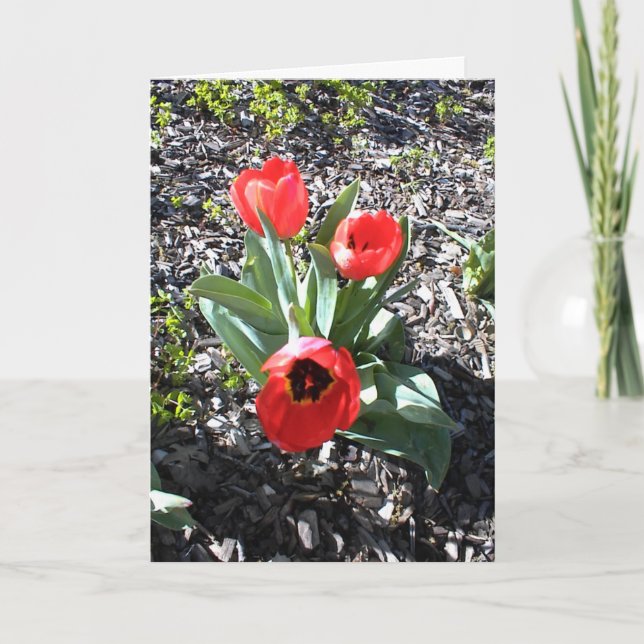 Inspirational Encouragement Card for the Holidays (Front)