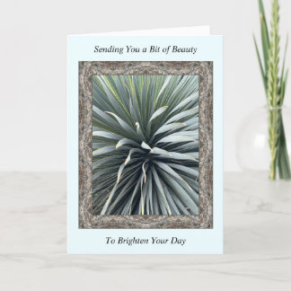Inspirational Get Well Card with a Stunning Yucca