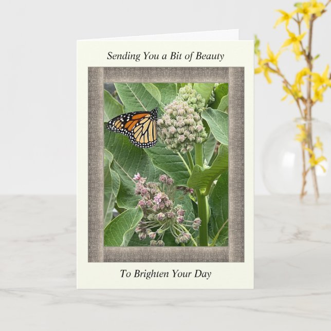 Inspirational Get Well Card with Monarch Butterfly (Yellow Flower)