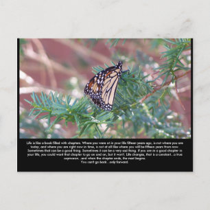 Inspirational Gifts Life Changes Postcard