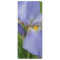 Inspirational Iris Bookmark