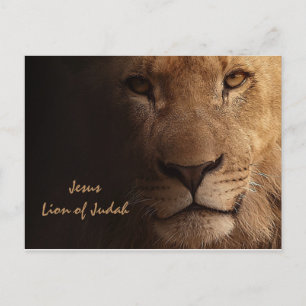 Inspirational Jesus Lion of Judah Christian Postcard