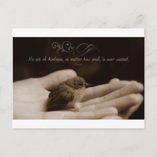 Inspirational Kindness Quote by Aesop Postcard